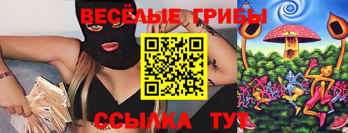 Галлюциногенные грибы MAGIC MUSHROOMS  Вход с VPN  Усть-Джегута 